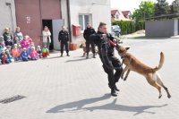 Policjanci trenują psy służżbowe.