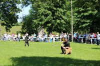 Policjant strzela z broni typu mossberg, drugi policjant stoi w gotowości z psem służbowym.