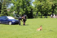 Policjant przeszukuje pozoranta, pies na polecenie policjanta pilnuje.