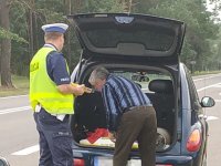 Policjant sprawdza zawartość bagażnika w kontrolowanym samochodzie.