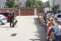 Pokaz umiejętności psa policyjnego