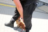 Policjant z uratowanym psem