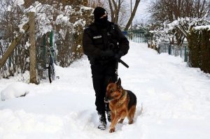 Policjant w mundurze idzie z psem