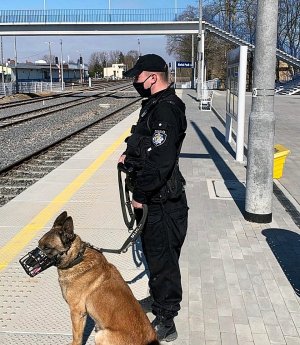Policjant w mundurze stoi przy torach, trzyma policyjnego psa.
