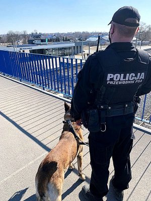 Policjant w mundurze stoi i patrzy na tory, trzyma smycz na ktorej jest pies.