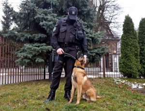 Policyjny pies z przewodnikiem