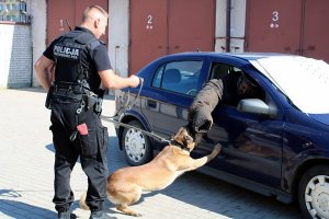 Szkolenie psów policyjnych