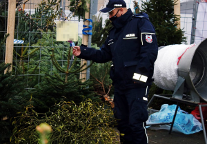 Policjant sprawdza choinki