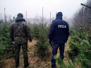 Policjant z przedstawicielem Straży Leśnej stoja tyłem