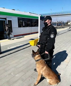 Policjant w mundurze stoi, trzyma smycz na której jest pies,