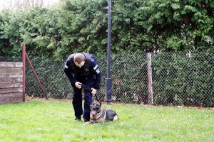 Policjant stoi na trawie, obok niego leży pies.