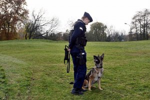 Policjant stoi na trawie, obok niego stoi pies.