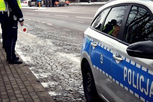 Policjant i radiowóz stoją przy drodze.