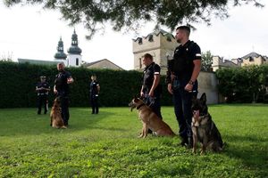 Policjanci z psami stoją na świezym powietrzu.
