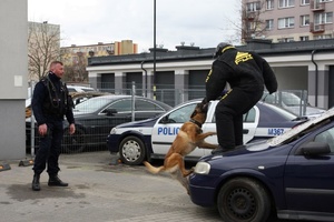 Na placu komendy stoi samochód, na nim stoi osoba, przed nim stoi policjant i pies.