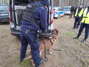 Policjanci biorą udział w ćwiczeniach dowódczo - sztabowych.