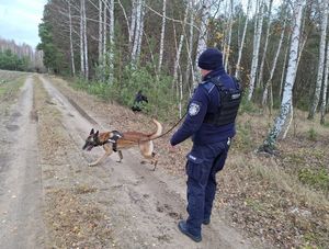 Policjanci biorą udział w ćwiczeniach dowódczo - sztabowych.