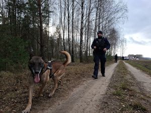 Policjanci biorą udział w ćwiczeniach dowódczo - sztabowych.