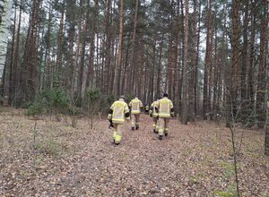 Policjanci biorą udział w ćwiczeniach dowódczo - sztabowych.