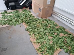 Narkotyki zabezpieczone przez policjantów.