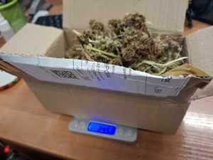 Policjanci zatrzymali mężczyznę, który posiadał narkotyki.