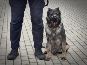 Policjanci opowiadają licealistom o swojej pracy.