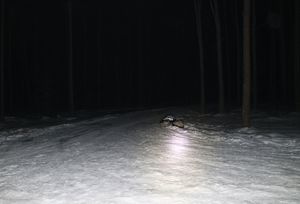 Zdjęcia z miejsca zdarzenia wypadku podczas kuligu.