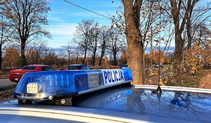 Radiowóz stoi przy drodze.