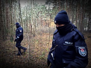 Policjanci idą po lesie.