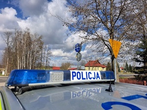 Radiowóz stoi przy drodze.