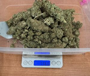 Marihuana zabezpieczona przez policjantów