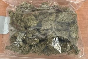 Marihuana lezy na wadze