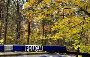 Radiowóz stoi w lesie
